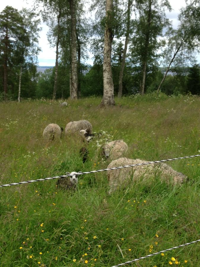 Hoeglunda Gard B&B Lantgard Skanderåsen Kültér fotó