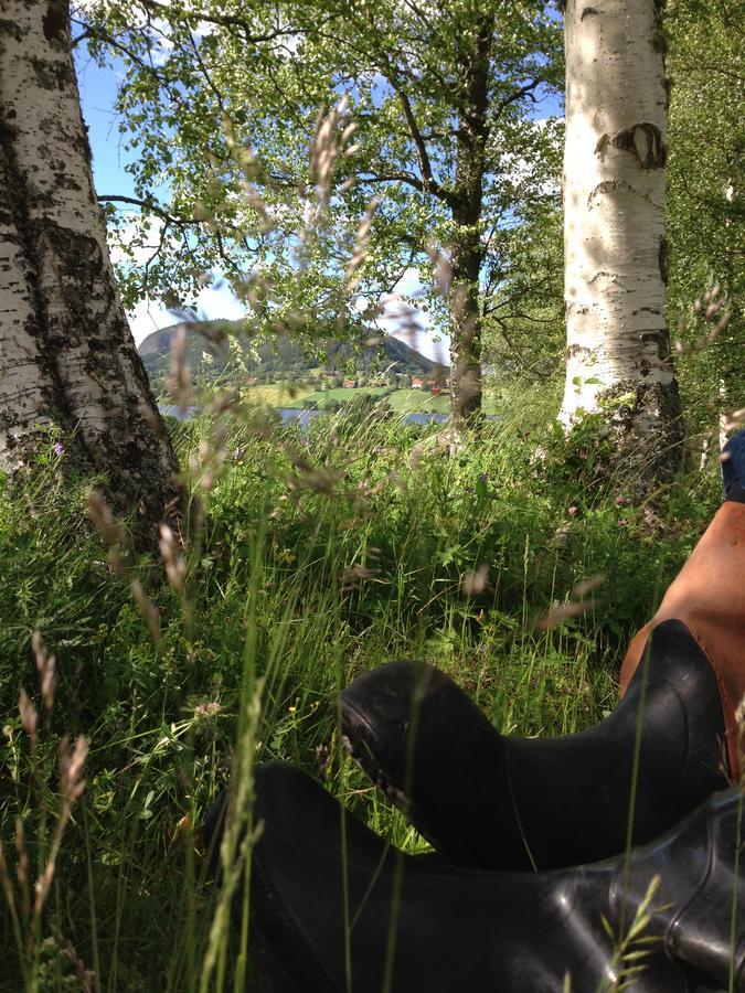 Hoeglunda Gard B&B Lantgard Skanderåsen Kültér fotó